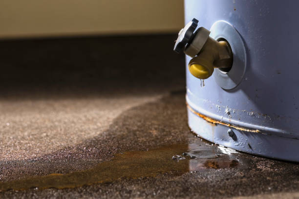 Best Flood damage cleanup  in Summerset, SD