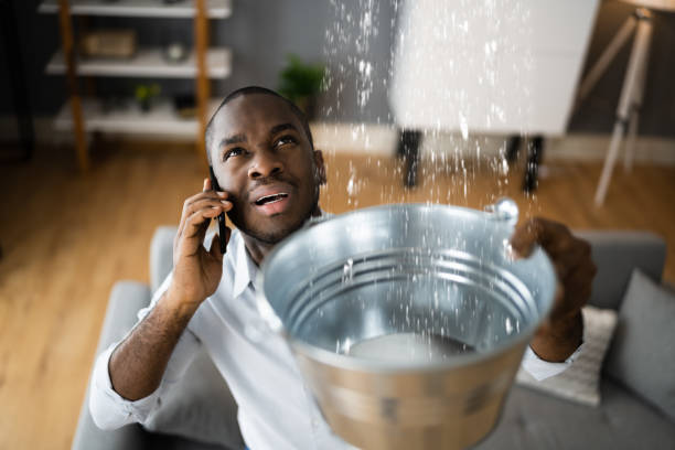 Best Mold removal after water damage  in Summerset, SD