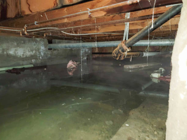 Best Flood damage cleanup  in Summerset, SD