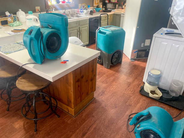 Best Mold removal after water damage  in Summerset, SD