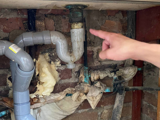 Best Basement water damage restoration  in Summerset, SD