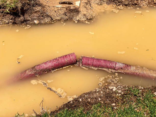Best 24/7 water damage repair  in Summerset, SD