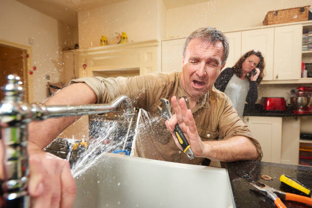 Best Professional water damage repair  in Summerset, SD